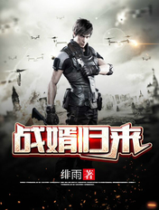 戰(zhàn)婿歸來