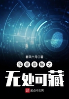 我是偵探之無處可藏