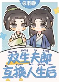 雙生夫郎互換人生后